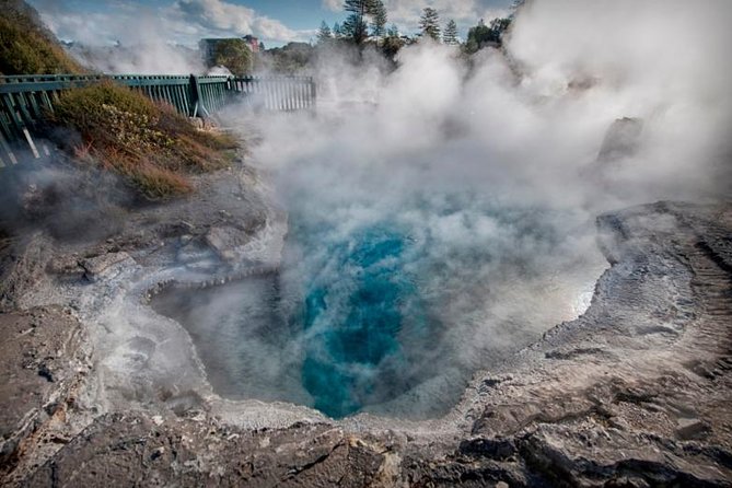 Tauranga-Hobbiton-Rotorua : Movie Set & Geysers: Private Tour - Price and value: what $876 buys you