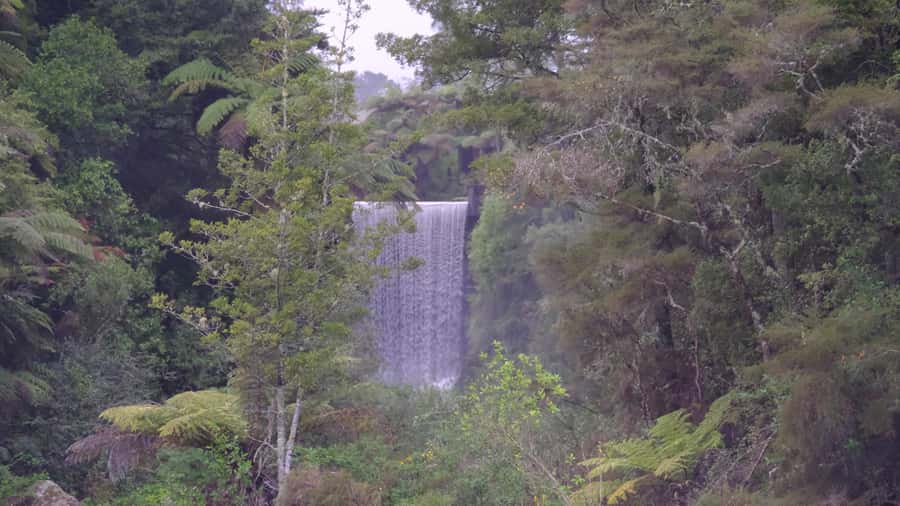 Tauranga: Kiwifruit Destination and Sights Shore Excursion - McLaren Falls Park: lake views, two waterfalls, and a walk you can manage