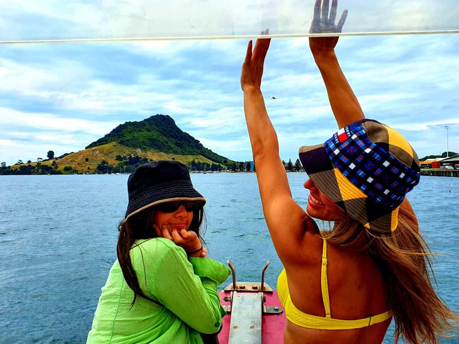 Tauranga: Mount Maunganui Harbour Sightseeing Cruise - Wildlife spotting without pressure, from fur seals to sea birds