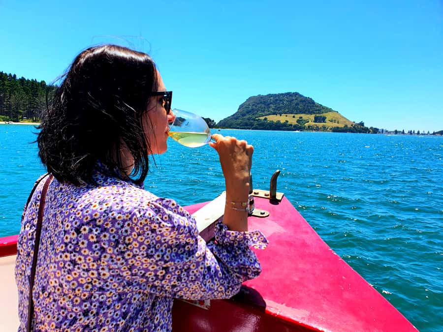 Tauranga: Mount Maunganui Harbour Sightseeing Cruise - Following the waterline, Mount Maunganui, Tangaroa, and the real port