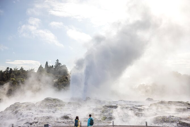 Tauranga Private Excursion: Rotorua -Te Puia-Geysers & Kiwi's - Key things to know before you go