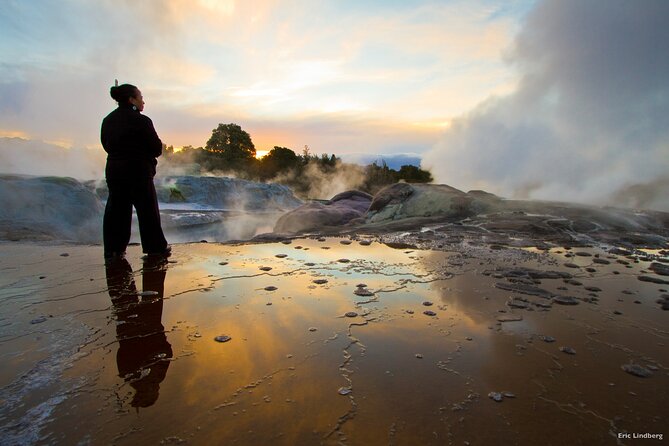 Tauranga Private Excursion: Rotorua -Te Puia-Geysers & Kiwi's - Private pickup from Mount Maunganui, then the drive inland