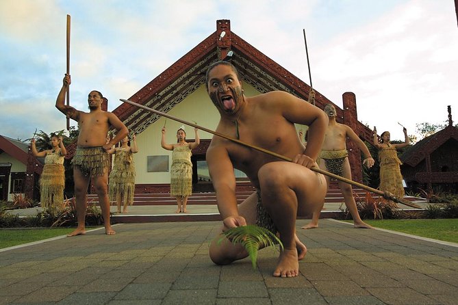 Tauranga Private Excursion: Rotorua -Te Puia-Geysers & Kiwi's - Kiwi house viewing, the best wildlife payoff on a time-limited day