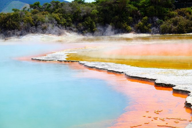 Tauranga Private Tour - Rotorua Geysers & Wai O Tapu Wonderland. - Key Highlights to Know Before You Go