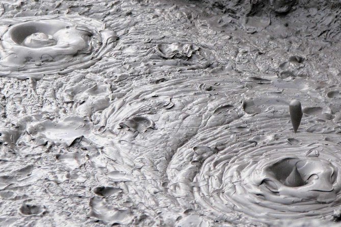 Tauranga Private Tour - Rotorua Geysers & Wai O Tapu Wonderland. - Value Check: Is $699 Per Group a Good Deal?
