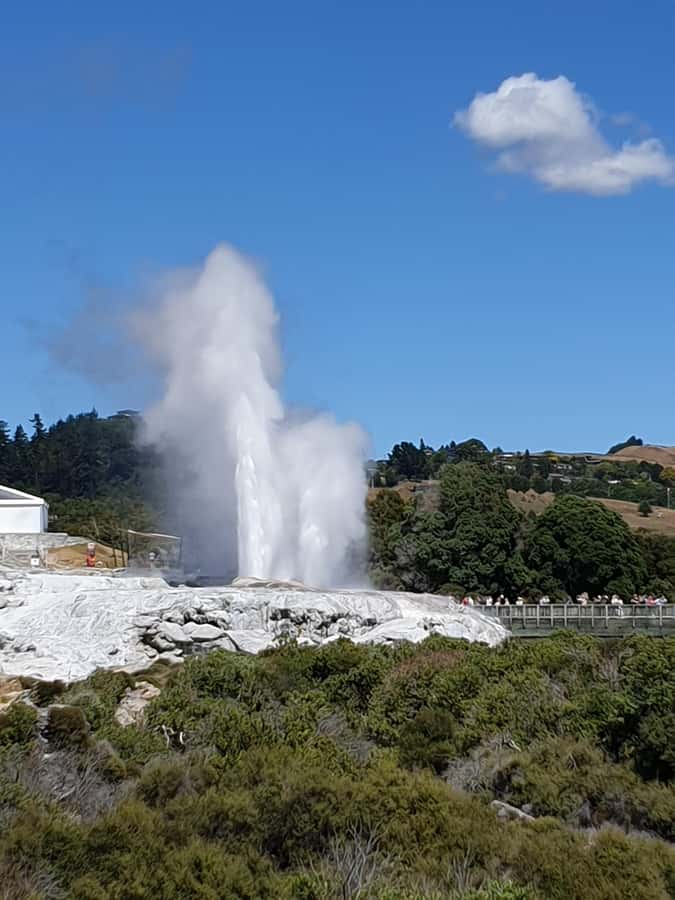 Tauranga: Rotorua Redwoods Tour & Maori Village Experience - Tauranga port pick-up and the Mount Maunganui start