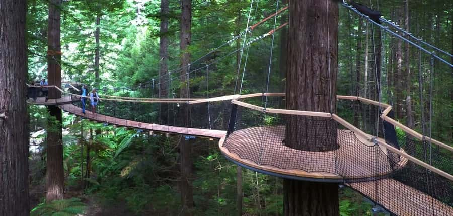 Tauranga: Rotorua Redwoods Tour & Maori Village Experience - Redwood Canopy Treewalk in the redwoods: more than a photo stop