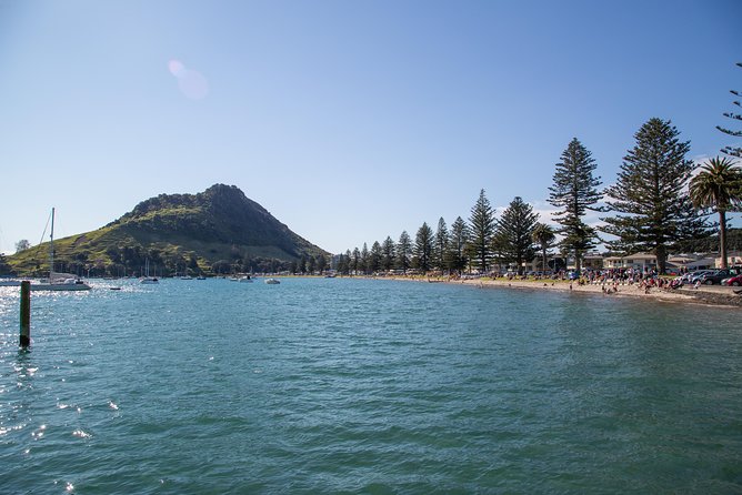 Tauranga Shore Excursion: History & Kiwifruit Tasting – 4 Hours - Pickup, mobile ticket, and the comfort basics