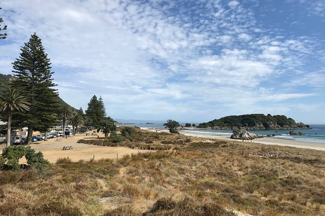 Tauranga Shore Excursion: History & Kiwifruit Tasting – 4 Hours - Price and what you truly pay for at $65.78