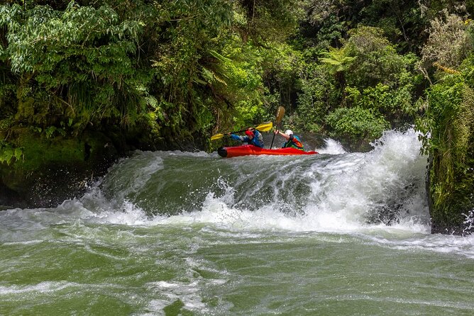 Tauranga Shore Excursion: Rotorua Highlights - Key Highlights at a Glance