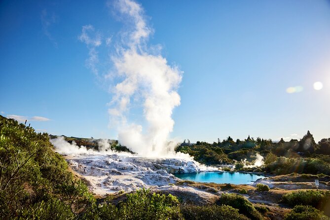 Tauranga Shore Excursion: Rotorua Highlights - Whakarewarewa: The Geothermal Core of the Day