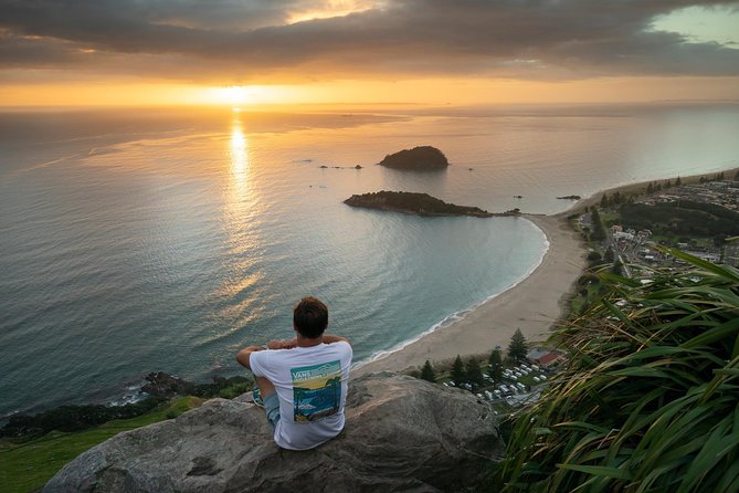 Tauranga Shore Excursion: Top Half Day Curated Highlights Tour - Te Papa Tauranga and Gate Pa Memorial Reserve: history you can respect in 30 minutes