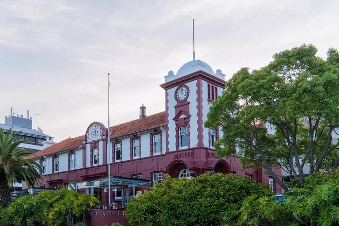 Tauranga Shore Excursion: Top Half Day Curated Highlights Tour - McLaren Falls Park: guided native rainforest walk and a manageable waterfall route