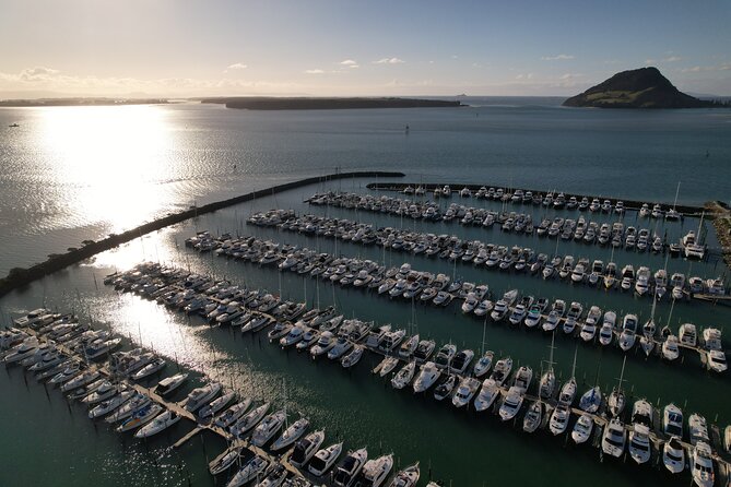 Tauranga Shore Excursion: Top Half Day Curated Highlights Tour - Small-group pacing, air-conditioned comfort, and a realistic 4.5-hour plan