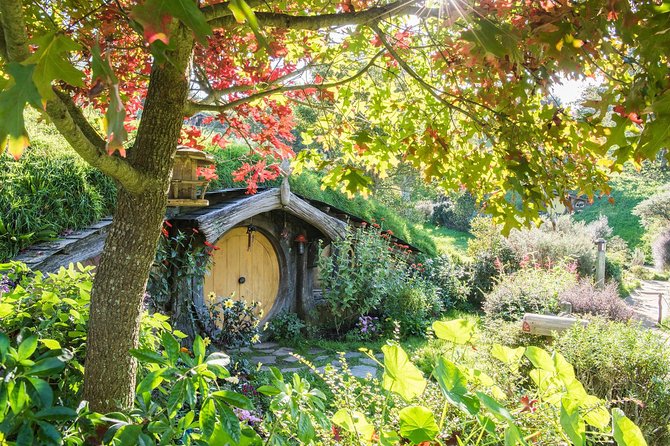 Tauranga to Magical Hobbiton Movie Set - Private Shore Excursion - Key points worth knowing before you go