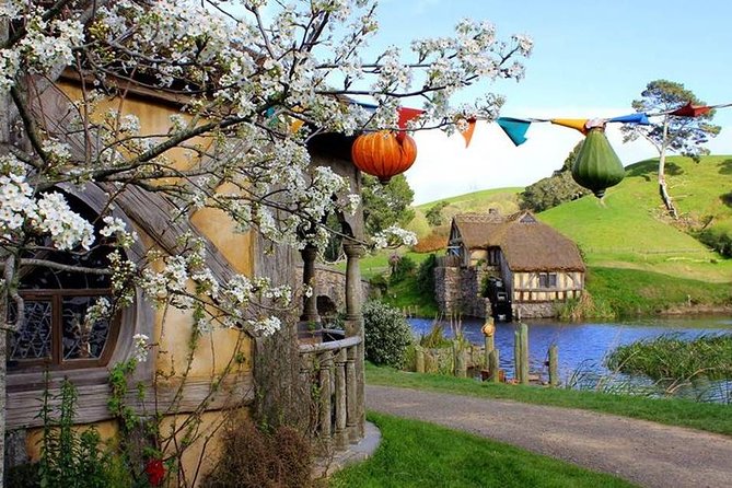 Tauranga to Magical Hobbiton Movie Set - Private Shore Excursion - Getting the most from limited time: how the pacing works