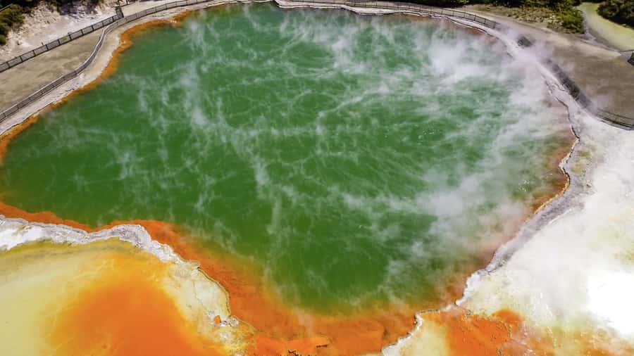 Tauranga: Wai-o-Tapu with Redwood Forest Walk or Forest Spa - From Tauranga Port To Rotorua: A Day That Fits Cruise Schedules
