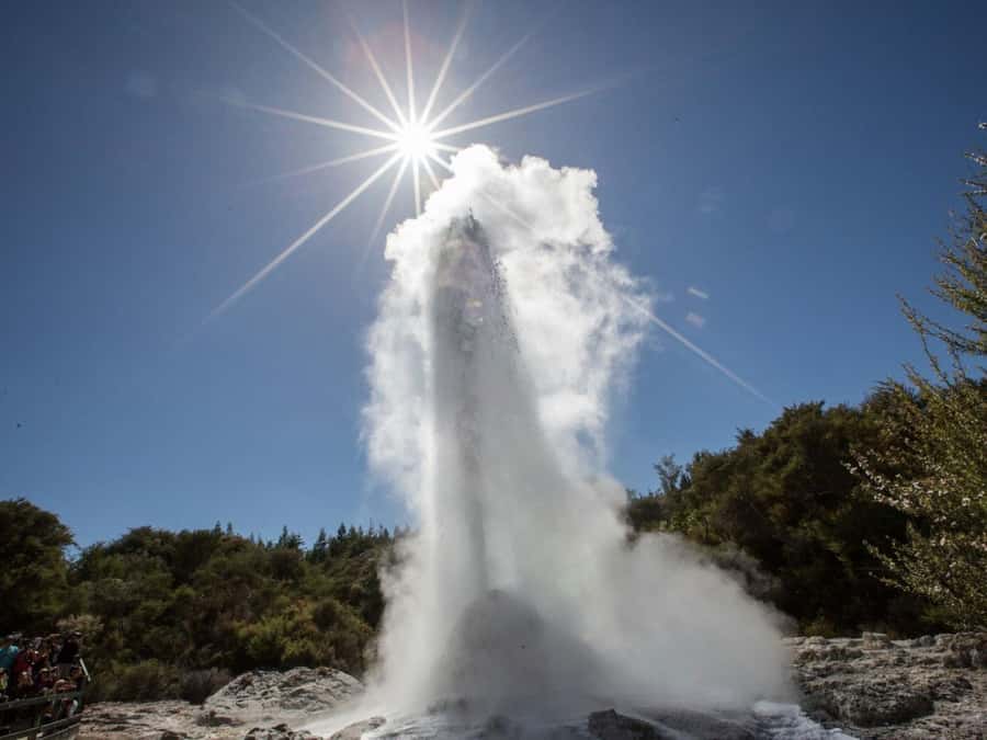 Tauranga: Wai-o-Tapu with Redwood Forest Walk or Forest Spa - Wai-o-Tapu Thermal Wonderland: Where the Geysers Steal the Show