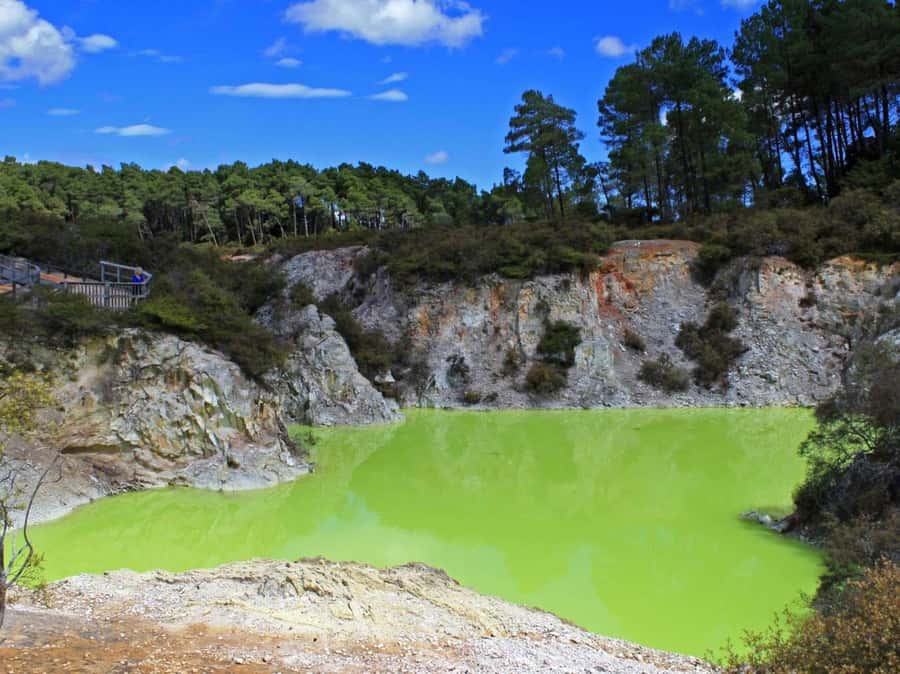 Tauranga: Wai-o-Tapu with Redwood Forest Walk or Forest Spa - Rotorua District Break: A Taste of the Hinterland by Road