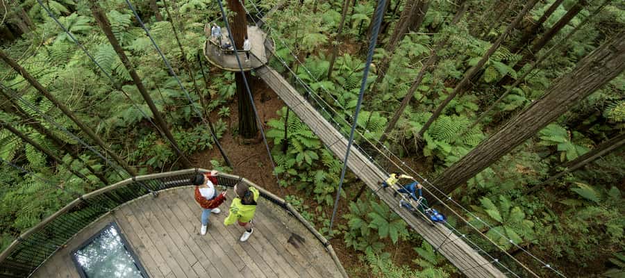 Tauranga: Wai-o-Tapu with Redwood Forest Walk or Forest Spa - What To Pack and How To Plan Your Day Around the Heat, Water, and Walking