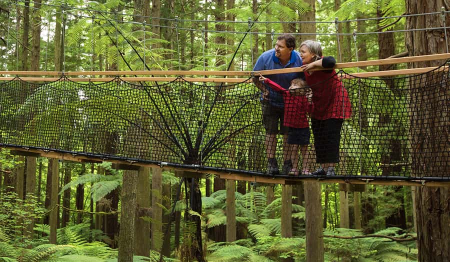 Tauranga: Wai-o-Tapu with Redwood Forest Walk or Forest Spa - Should You Book This Tauranga Wai-o-Tapu and Redwoods Tour?