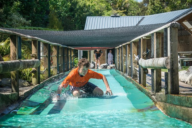 Tauranga: Waimarino Adventure Park - Waimarino in Tauranga: a do-what-you-want family day