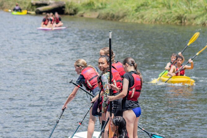 Tauranga: Waimarino Adventure Park - Climbing Wall, Tarzan rope, and gladiator-style balance games