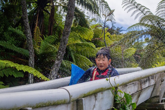Tauranga: Waimarino Adventure Park - Picnic, BBQ, and snacks: how to make it a real day