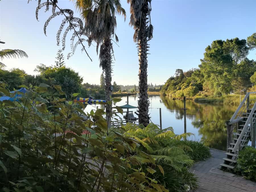 Tauranga: Waimarino Adventure Park Supreme Pass Entry Ticket - Key highlights to plan around