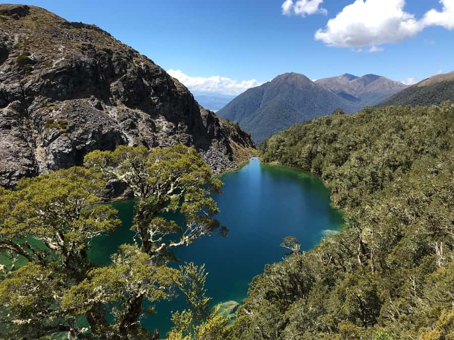 Te Anau: 30-Minute Fiordland National Park Scenic Flight - The Tarn Landing: Why One Stop Changes the Whole Trip