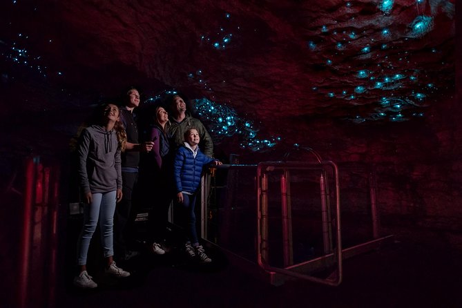 Te Anau Glow Worm Caves Tour - Lake Te Anau on the Luminosa catamaran: the view part you’ll be glad you got