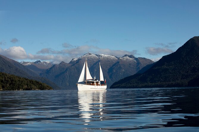 Te Anau Glow Worm Caves Tour - The punt in near darkness: the glow worm moment