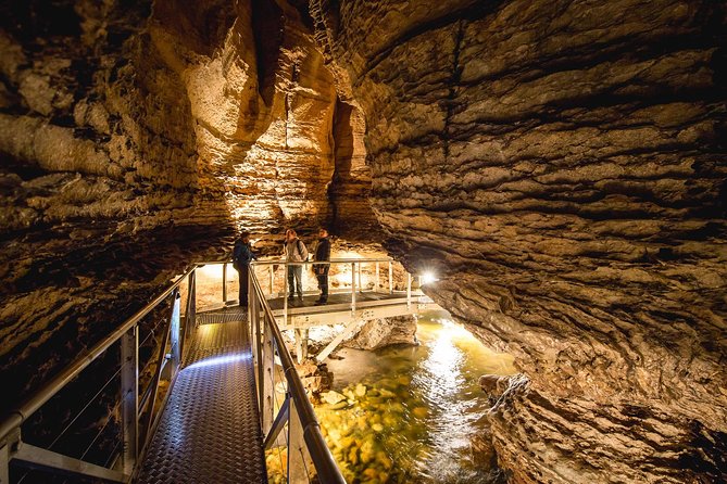 Te Anau Glow Worm Caves Tour - Cavern House and the glow worm talk: what you need to notice later