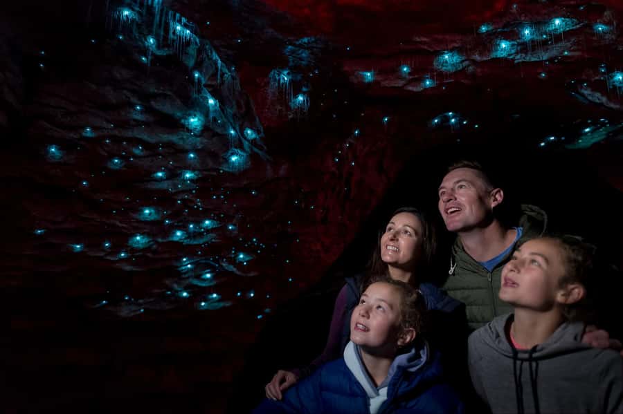 Te Anau: Glowworm Caves Guided Tour - Your 135-minute route through Te Anau and the Murchison Mountains