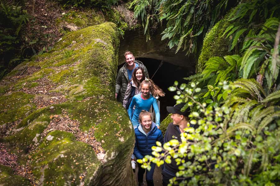 Te Anau: Glowworm Caves Guided Tour - Entering the cave system: limestone, waterfalls, and that thunder of water
