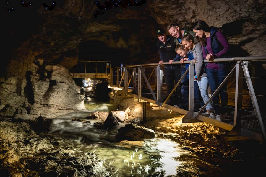 Te Anau: Glowworm Caves Guided Tour - The guided walk: small groups, low ceilings, and shoe smarts