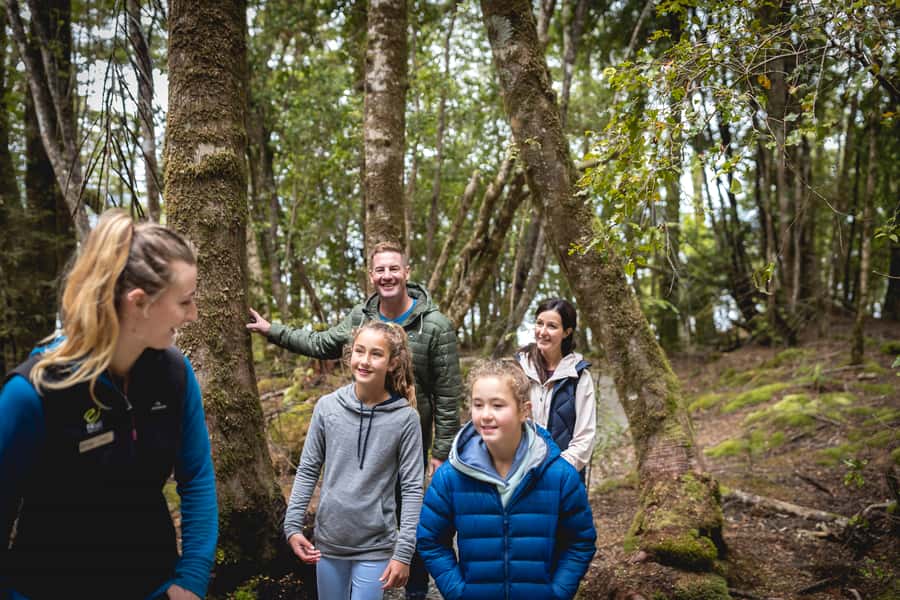 Te Anau: Glowworm Caves Guided Tour - Tea, coffee, and what you can do after the cave ride
