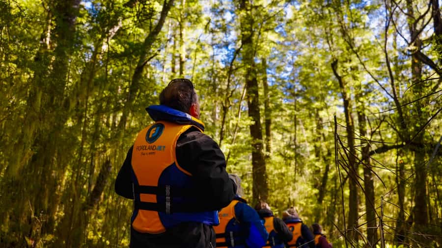 Te Anau: River Jet Boat and Bike Ride Tour with Local Guide - Lake Manapouri stop and a beech-forest reset in Fiordland National Park