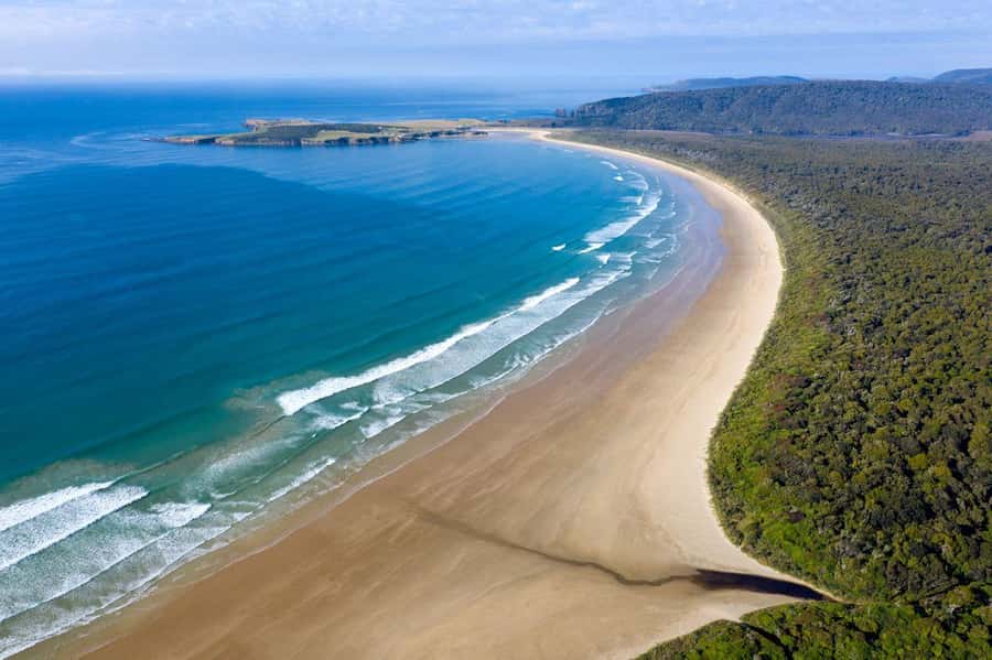 Te Anau to Dunedin via the Catlins & Invercargill 1 Way Tour - Quick takeaways before you go