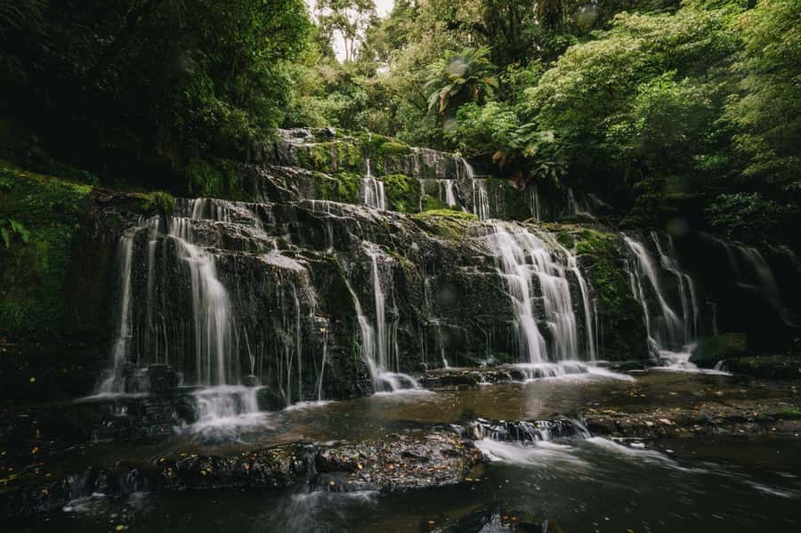 Te Anau to Dunedin via the Catlins & Invercargill 1 Way Tour - Value and timing for the Catlins, Te Anau to Dunedin