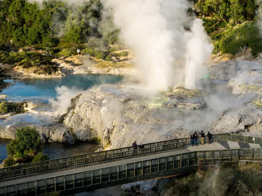 Te Puia: Te Rā Guided Day Tour - Te Whakarewarewa Geothermal Valley, geysers and mud pools in one guided loop