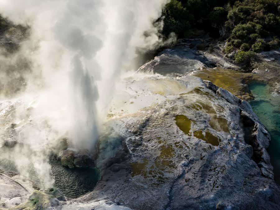 Te Puia: Te Rā Guided Day Tour - How to get the most out of your guide, from Paul to Michael