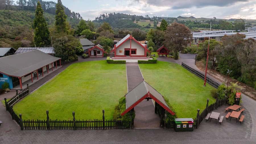 Te Puia: Te Rā Guided Day Tour + Haka Cultural Performance - The geothermal valley walk: Pōhutu Geyser and kiwi viewing