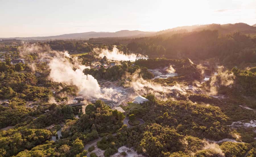 Te Puia: Tuku Iho Trail with Cultural Show - Guide quality can make or break it