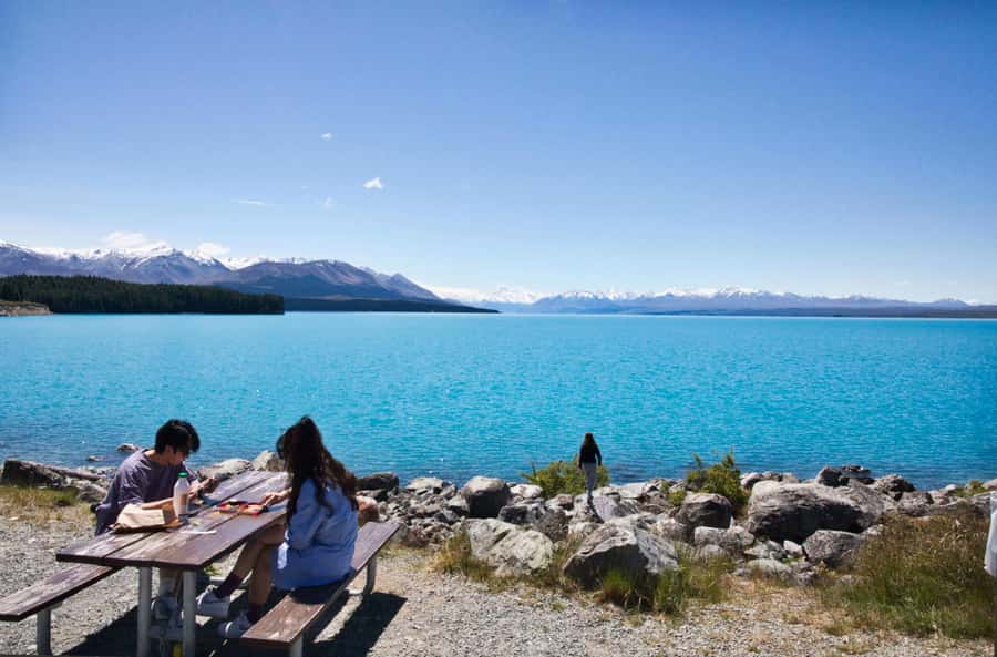 Tekapo Shuttle: Mt Cook Day Tour via Pukaki & Tasman Lake - Key highlights to look for