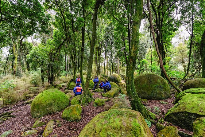 The Boulders Scenic Half Day Float on the Rangitikei River - Starting at Ruahine Road Café: A Smooth 10:00 am Plan