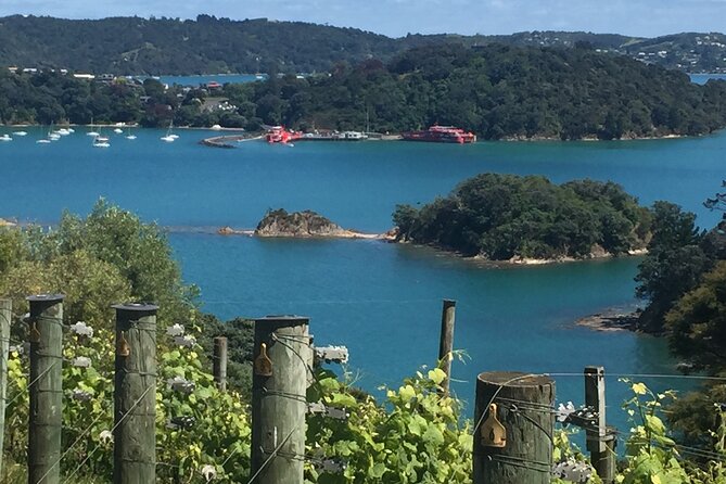 The Boutique Experience: Waiheke Best Cellar Tour (11 guests max) - Key things you should know before you go