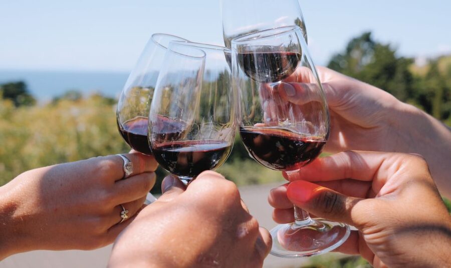 The Boutique Experience: Waiheke Island Best Cellar Tour - Should You Book the Waiheke Island Best Cellar Tour?