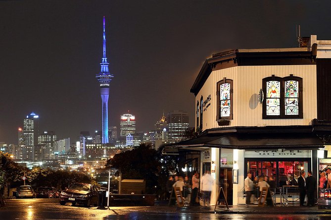 The City Lights: a unique electric bike tour of Auckland by night! - Te Ara I Whiti, The Lightpath: the pink cycleway moment