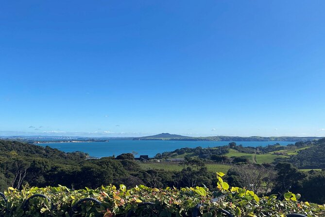 The Essence of Waiheke Wine Tour - Stop 1, the day’s rhythm set by Ananda Tours